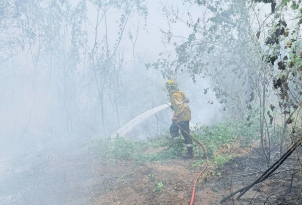 Brigadistas combaten incendios forestales de Ledesma y Santa B&aacute;rbara