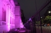 Casa de Gobierno se viste de violeta