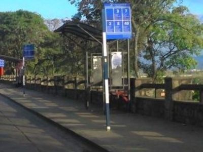 Colectivos circularan con frecuencias de d&iacute;as domingos