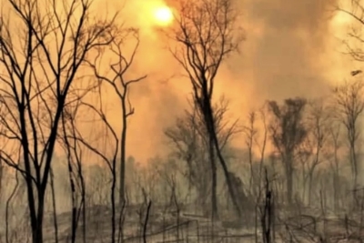 Los incendios forestales se agudizan por el cambio clim&aacute;tico