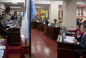 Begu, código de faltas y pedidos de informes enm sesión del Concejo