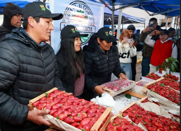 Sadir destac&oacute; el impacto de la producci&oacute;n de frutilla en la generaci&oacute;n de empleo