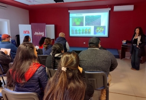 Jujuy impulsa el desarrollo de cuencas de frutas tropicales