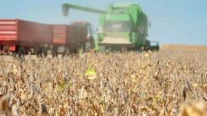 Seg&uacute;n la Bolsa de Cereales, las exportaciones agr&iacute;colas de la actual campa&ntilde;a superar&aacute;n los US$ 30.500 millones
