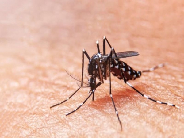 Dengue, la otra epidemia con mas de 14 mil casos confirmados