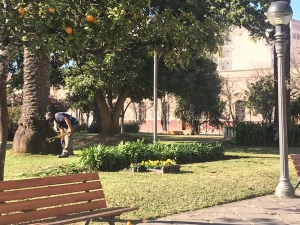 Mantenimiento en parques de la ciudad