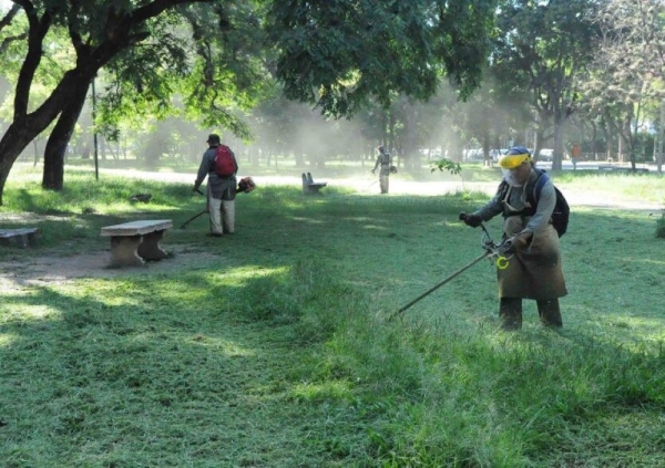 Tareas de desmalezado en todos los barrios de la ciudad