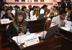 Concejales aprobaron exención a Tasa por Espectáculos Públicos