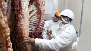 Reabren de manera parcial las exportaciones de carne y ampl&iacute;an oferta de cortes accesibles