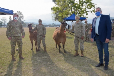 Entregaron 20 "llamas" al Ej&eacute;rcito Argentino