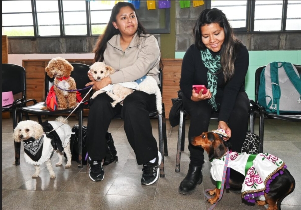 Semana del Animal: Gran convocatoria en el CIC Alberdi
