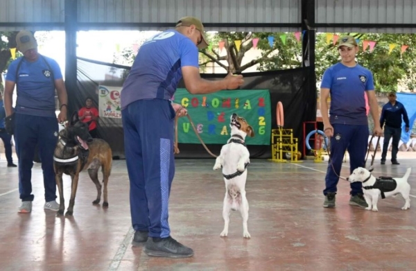 Exhibici&oacute;n de canes en el Multiespacio de M. Moreno