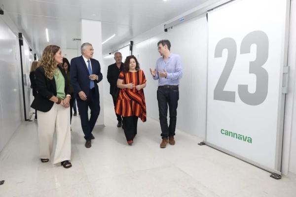 La Anmat autoriz&oacute; la venta del aceite Cannava CBD10 en todo el pa&iacute;s