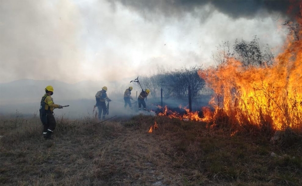 Ascienden a 13.347 las hect&aacute;reas da&ntilde;adas por incendios forestales en las yungas juje&ntilde;as