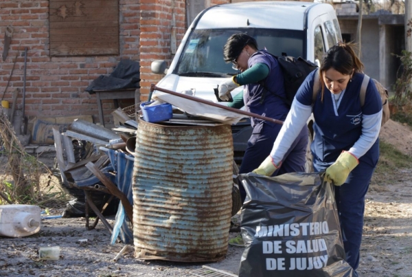 Dengue: Salud contin&uacute;a con el descacharrado en la capital juje&ntilde;a
