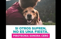 Fin de Año: está prohibida la venta y uso de pirotecnia sonora