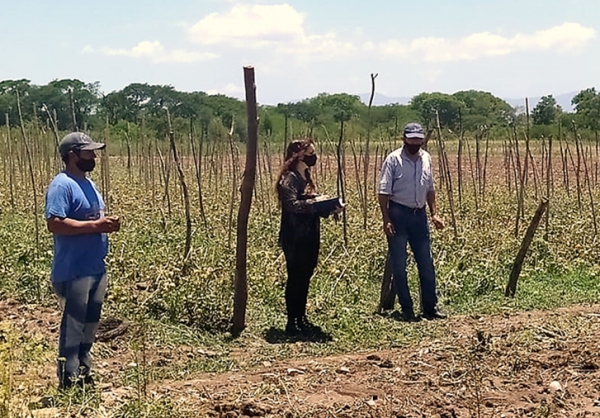 Relevan &aacute;reas productivas afectadas por tormenta