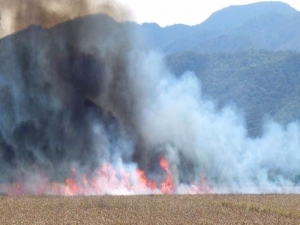 Advierten sobre riesgos de incendios forestales