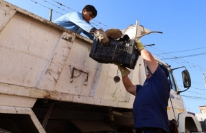 Sin casos, se refuerza la estrategia integral frente al dengue