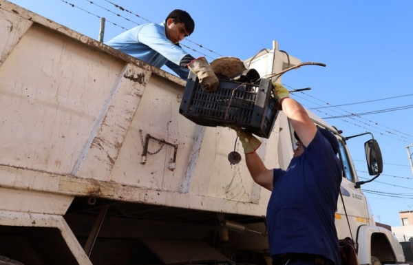 Sin casos, se refuerza la estrategia integral frente al dengue