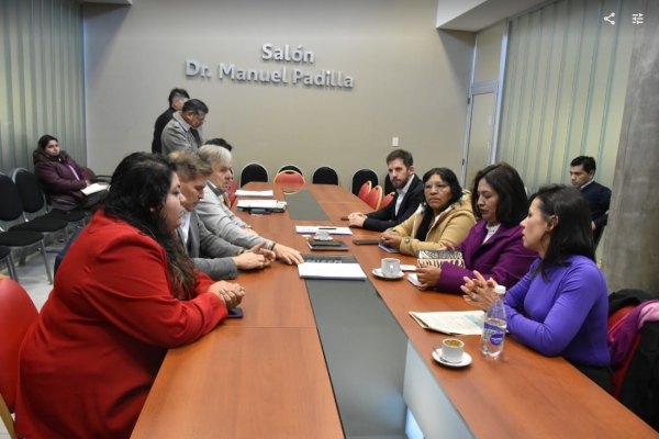 Diputados designan a Paulina Ju&aacute;rez en Comit&eacute; Provincial para la Prevenci&oacute;n de la Tortura
