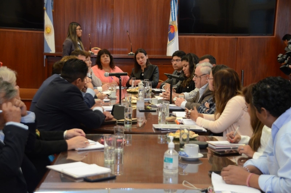 La Comisi&oacute;n de Educaci&oacute;n recibi&oacute; el informe del Secretario de Gesti&oacute;n Educativa de la Provincia