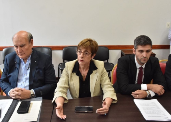 Plenario por el Consejo de la Magistratura y reforma de la Ley Org&aacute;nica