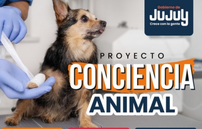 "Conciencia Animal": M&aacute;s de 7.400 castraciones en seis meses