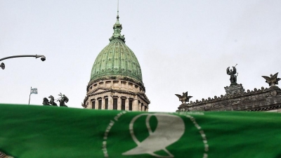 Sectores verdes y celestes convocan a una vigilia en v&iacute;speras de la sesi&oacute;n del Senado