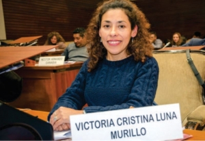 Quieren declarar la Emergencia en Violencia de G&eacute;nero