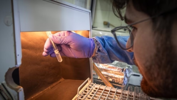 Fentanilo contaminado: la justicia investiga 20 nuevas muertes y la cifra de fallecidos asciende a 74