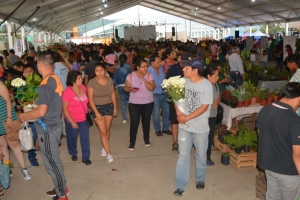 EXITOSA SEGUNDA EDICI&Oacute;N DE &ldquo;JUJUY EN FLOR&rdquo;