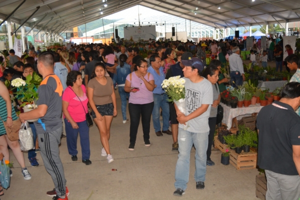 EXITOSA SEGUNDA EDICI&Oacute;N DE &ldquo;JUJUY EN FLOR&rdquo;