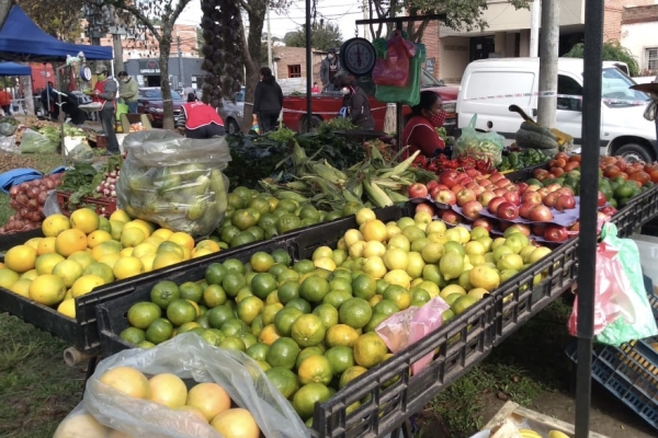Habr&aacute; FFAVEM todos los martes y s&aacute;bados de agosto