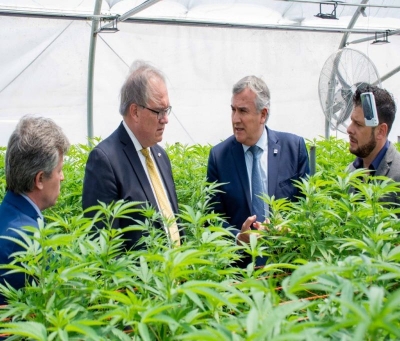 Inter&eacute;s alem&aacute;n en energ&iacute;as renovables, litio y cannabis medicinal