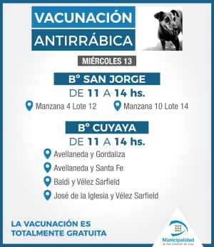 CONTIN&Uacute;A LA CAMPA&Ntilde;A DE VACUNACI&Oacute;N ANTIRR&Aacute;BICA EN LA CIUDAD