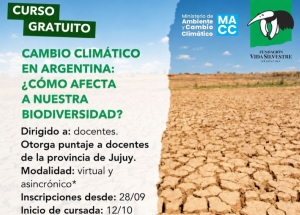 Docentes podrán capacitarse gratis en Cambio Climático