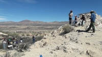 Desentierran restos f&oacute;siles de un perezoso gigante hallados en un sitio natural de Humahuaca
