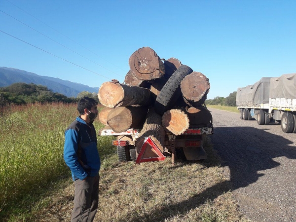 Implementan software para control de gu&iacute;as forestales