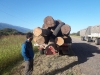 Implementan software para control de gu&iacute;as forestales