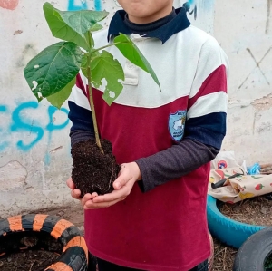 Talleres de huertas agroecológicas promueven la alimentación saludable en escuelas