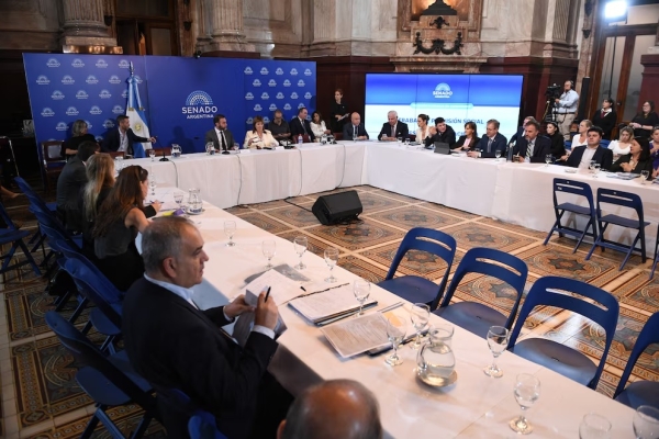 El Gobierno obtuvo el dictamen de la reforma laboral en el Senado, pero se debatir&aacute; en febrero