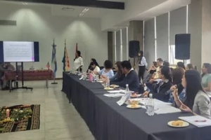 Jornada Interministerial sobre Pol&iacute;ticas P&uacute;blicas para Pueblos Ind&iacute;genas