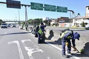 Intensas tareas de limpieza y recolecci&oacute;n de residuos en toda la extensi&oacute;n de avenida Savio