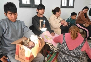 Inici&oacute; campa&ntilde;a de castraci&oacute;n con m&aacute;s de 100 turnos semanales