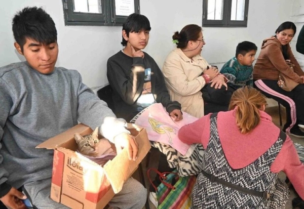 Inici&oacute; campa&ntilde;a de castraci&oacute;n con m&aacute;s de 100 turnos semanales