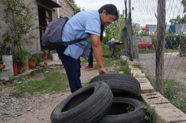 Jujuy contin&uacute;a sin casos de dengue y refuerza estrategias