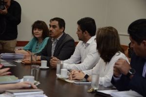 Veinti&uacute;n expedientes se encuentran en an&aacute;lisis en la Comisi&oacute;n de Salud de la Legislatura