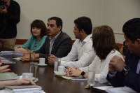Veinti&uacute;n expedientes se encuentran en an&aacute;lisis en la Comisi&oacute;n de Salud de la Legislatura