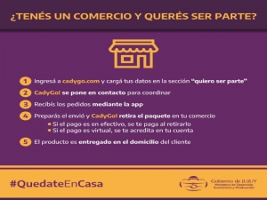 Plataforma juje&ntilde;a para realizar delivery